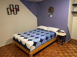 B&B México Roma Norte