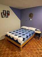 B&B México Roma Norte