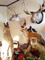 Torsetlia Fjellstue og Hyttegrend