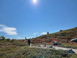 Torsetlia Fjellstue og Hyttegrend