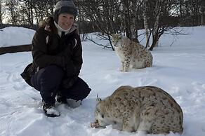Torsetlia Fjellstue og Hyttegrend