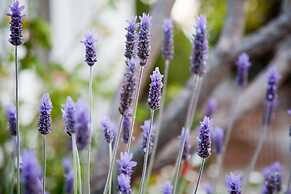 The Queen of Calitzdorp