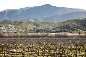 The Queen of Calitzdorp