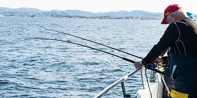 Hjorten Hotell Hitra