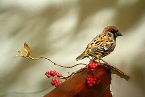 North Europe Holiday House