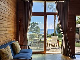 Old Man and Sea Pension