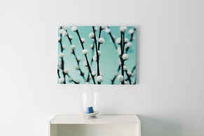 Estudios Sierra de Francia