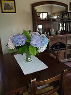 Trisqueles y Buganvillas