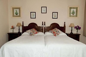 Trisqueles y Buganvillas