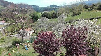 Trisqueles y Buganvillas