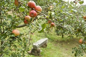 Trisqueles y Buganvillas