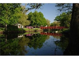 Café Mandeltårtan B&B VillaFloraViola