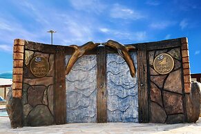 Golden Dolphin Supreme OFICIAL