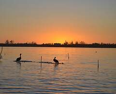 Sun Life Beach Hotel