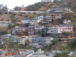 La Paloma Las Flores