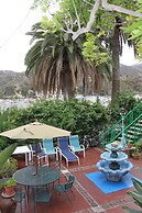 La Paloma Las Flores