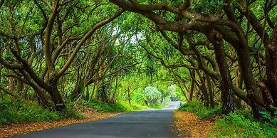 Kirpal Meditation and Ecological Center