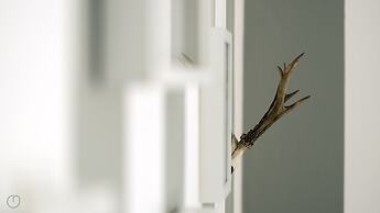 Italianway   - Melzo