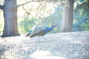 Warwick Castle Hotel and Knight's Village