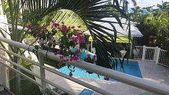 Majesty Palm