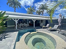 Majesty Palm