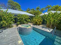 Majesty Palm