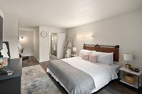 Hotel McCoy - Art, Coffee, Beer, Wine