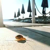 Hotel Tokio Home-Tokio Beach dependence