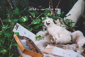 Mary-Ann's Polarrigg