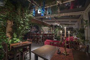 Mary-Ann's Polarrigg