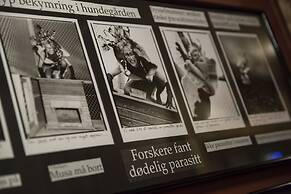 Mary-Ann's Polarrigg