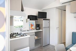 Camping International