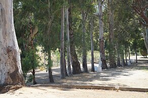 Camping International