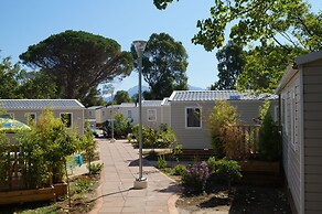 Camping International