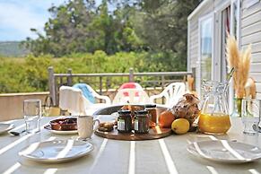 Camping International