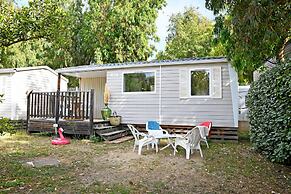 Camping International