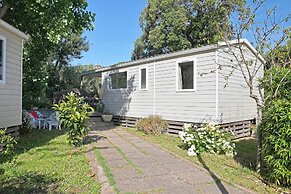 Camping International