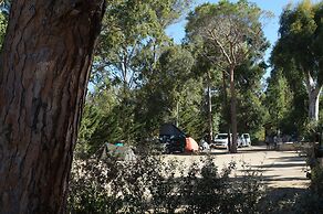 Camping International