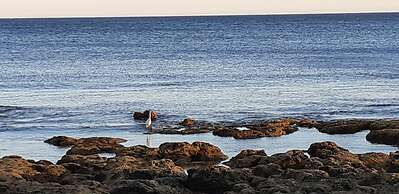 Jeannies Oura Estrela Apartamentos