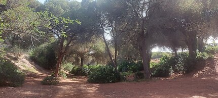 Jeannies Oura Estrela Apartamentos