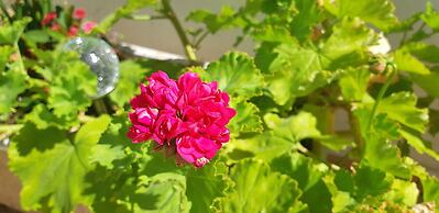 Jeannies Oura Estrela Apartamentos