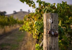 Blue House at Mountainside Wines