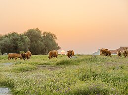 São Lourenço do Barrocal