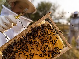 São Lourenço do Barrocal