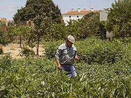 São Lourenço do Barrocal