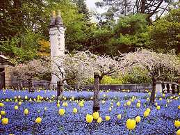 University of Exeter Holland Hall