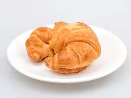 University of Exeter Holland Hall