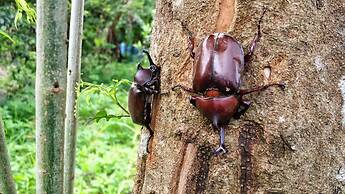 Barefoot and Breakfast