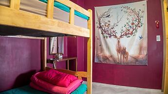 GN Guesthouse Jungang - Hostel