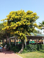 Club Turtas Beach Hotel - All Inclusive